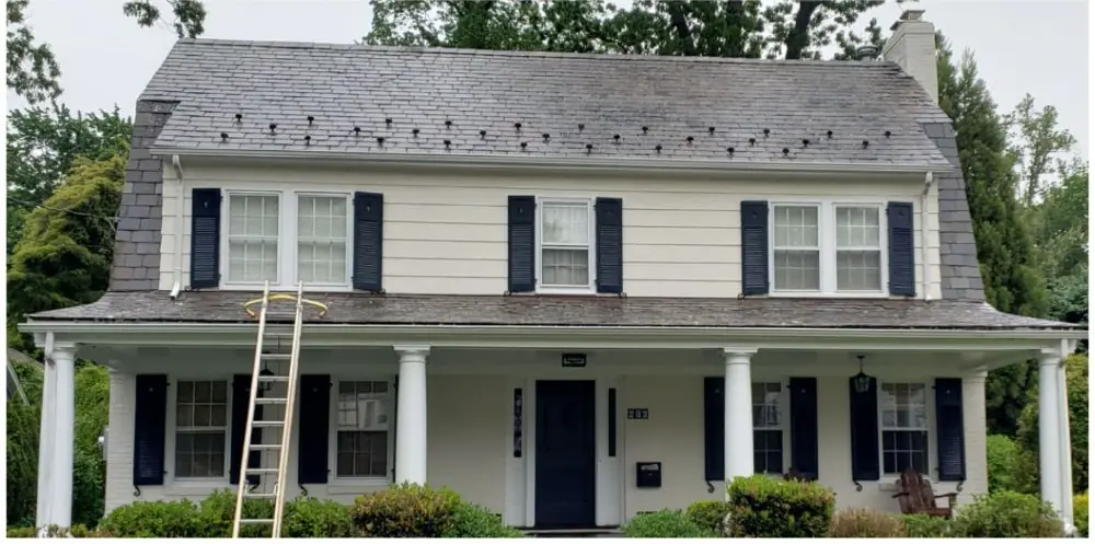 Tile, cedar and shingle roof cleaning after